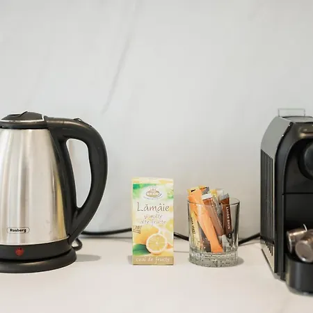 Apartment Skylark - Zurich With Terrace & Mountain View Brasov